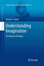 Understanding Imagination