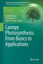 Canopy Photosynthesis: From Basics to Applications