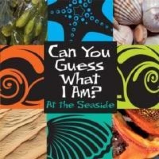 Can You Guess What I Am?: At the Seaside