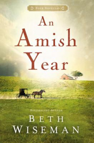 Amish Year