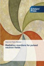 Radiation monitors for pulsed neutron fields