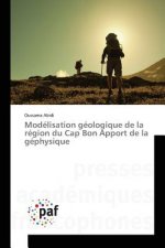 Modelisation Geologique de la Region Du Cap Bon Apport de la Gephysique