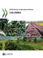 OECD review of agricultural policies