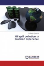 Oil spill pollution: a Brazilian experience