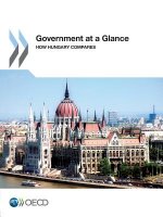 Government at a glance
