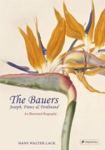 Bauers - Joseph, Franz and Ferdinand