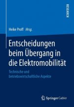 Entscheidungen beim UEbergang in die Elektromobilitat
