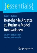 Bestehende Ansatze zu Business Model Innovationen