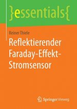 Reflektierender Faraday-Effekt-Stromsensor