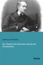 Zur Theorie des Erkennens durch den Gesichtssinn