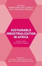 Sustainable Industrialization in Africa