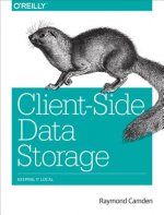 Client-Side Data Storage