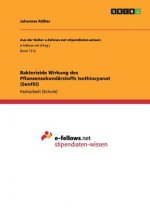 Bakterizide Wirkung des Pflanzensekundärstoffs Isothiocyanat (Senföl)