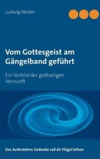 Vom Gottesgeist am Gangelband gefuhrt