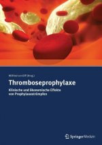 Thromboseprophylaxe Klinische Und Okonomische Effekte Von Prophylaxestrumpfen