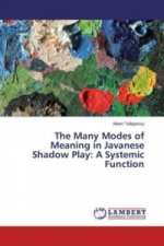 The Many Modes of Meaning in Javanese Shadow Play: A Systemic Function