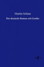 Der deutsche Roman seit Goethe