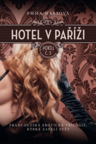 Hotel v Paříži Pokoj č.3