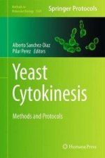 Yeast Cytokinesis