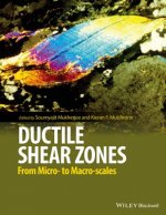 Ductile Shear Zones - from micro- to macro-scales