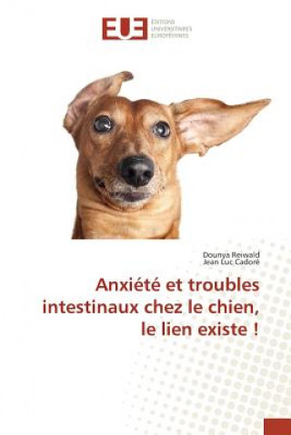 Anxiete Et Troubles Intestinaux Chez Le Chien, Le Lien Existe !