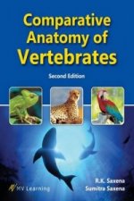 Comparative Anatomy of Vertebrates