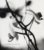 Janet Russek - the Tenuous Stem