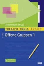 Therapie-Tools Offene Gruppen. Bd.1