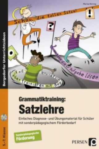 Grammatiktraining: Satzlehre, m. 1 CD-ROM