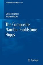Composite Nambu-Goldstone Higgs