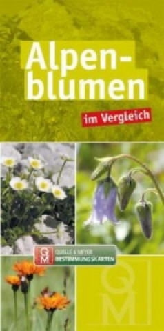 Alpenblumen im Vergleich