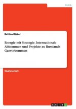 Energie mit Strategie. Internationale Abkommen und Projekte zu Russlands Gasvorkommen