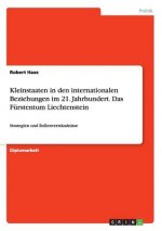 Kleinstaaten in den internationalen Beziehungen im 21. Jahrhundert. Das Fürstentums Liechtenstein