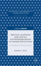 Service-Learning and Social Entrepreneurship in Higher Education
