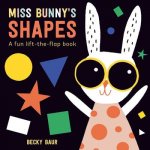 Miss Bunny's Shapes