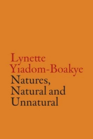 V-A-C Collection: Lynette Yiadom-Boakye