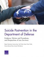 SUICIDE POSTVENTION IN THE DEPPB