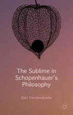 Sublime in Schopenhauer's Philosophy