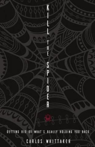 Kill the Spider