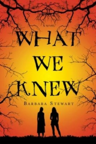 What We Knew