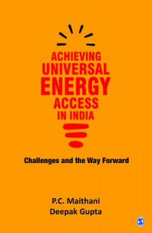 Achieving Universal Energy Access in India