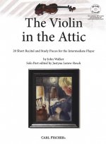 VIOLIN
