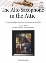 ALTO SAXOPHONE