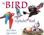 BIRD ALPHABET BOOK