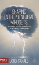 Shaping Entrepreneurial Mindsets