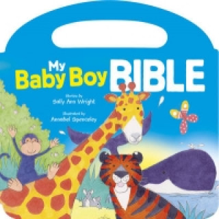 My Baby Boy Bible