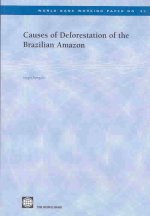 Causes of Deforestation of the Brazilian Amazon