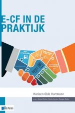 e-CF in de Praktijk