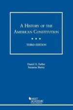 History of the American Constitution