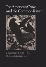 American Crow & Common Raven